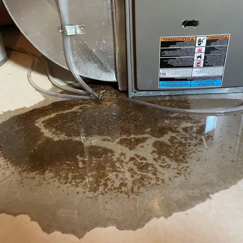 Pipe Burst and Leak Restoration in East Machias, ME